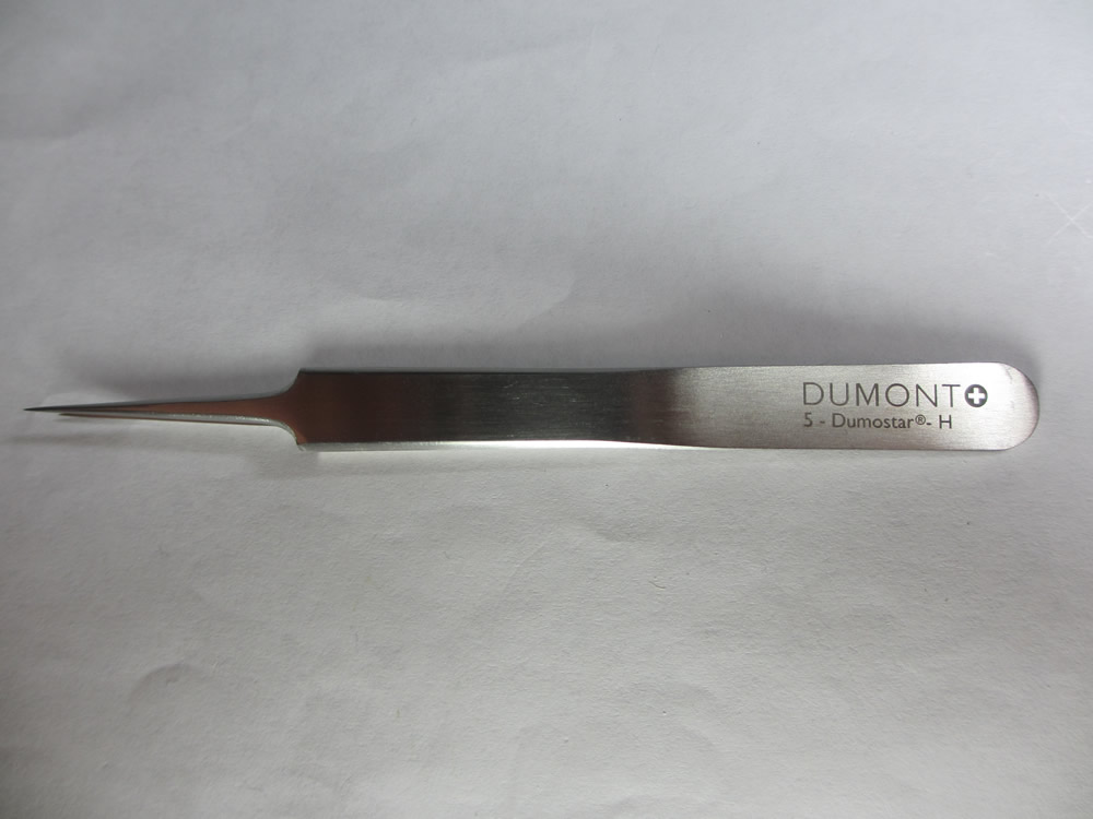 DUMONT DUMOSTAR(デュモン デュモスター)NO.5