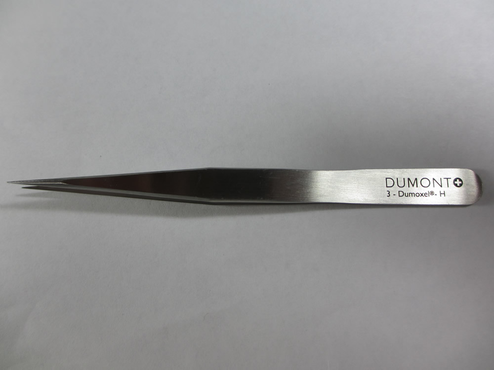 DUMONT DUMOXEL(デュモント デュモクセル)NO.3